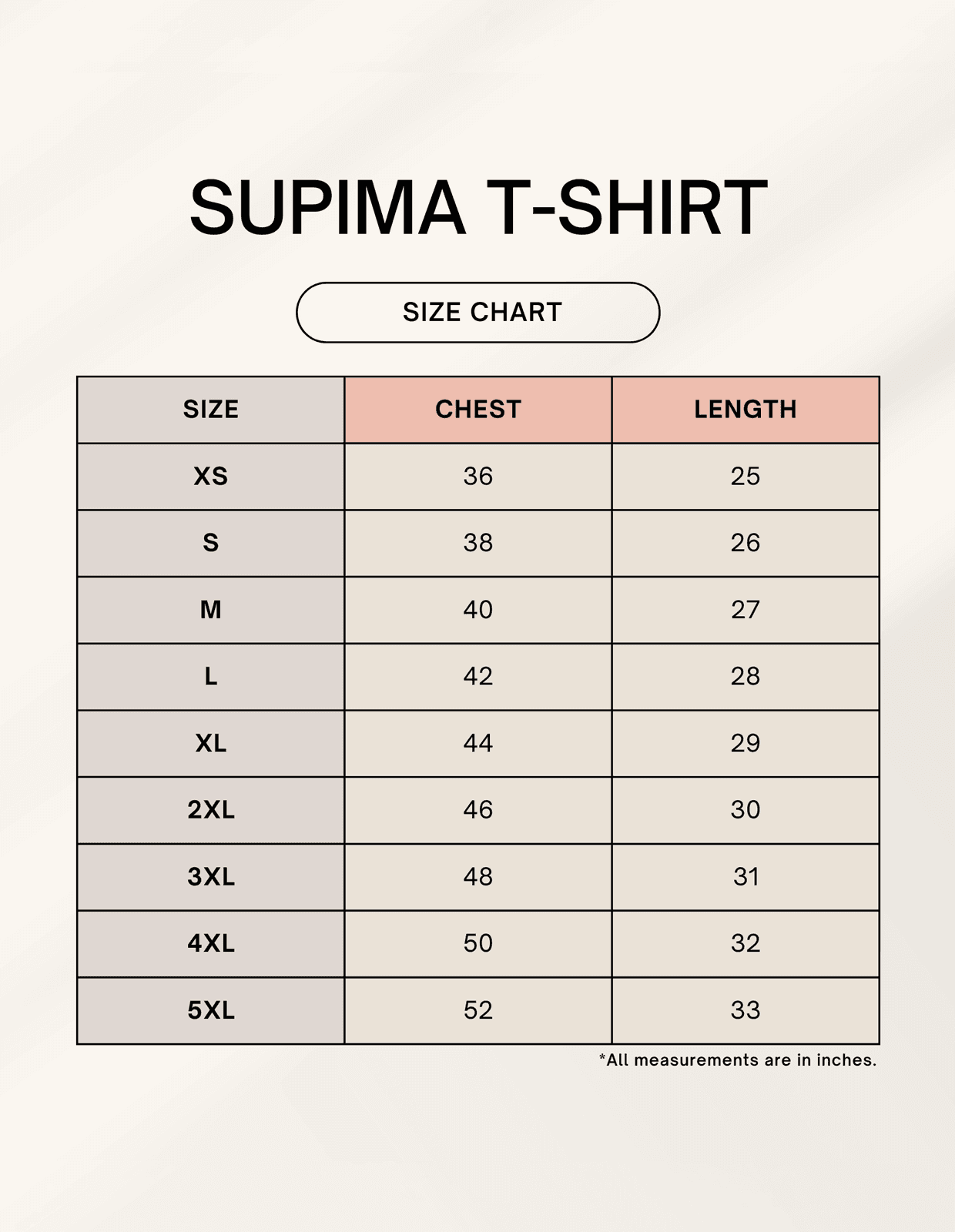 SkyBi 2025 Durga Puja T-Shirt Supima Cotton - SkyBi Shirts